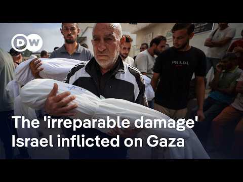 “There will never, never be a safe space in Gaza again – even after the war is over” | DW News