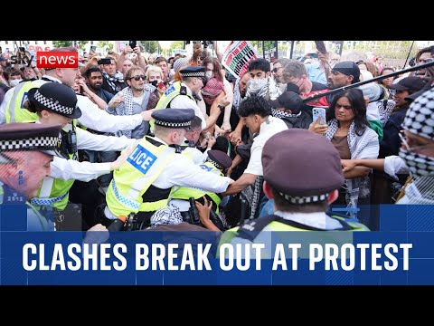 Clashes break out at Palestine Action protest, as police make 425 arrests
