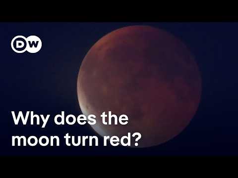 “Blood Moon” mesmerizes stargazers across the world during total lunar eclipse | DW News