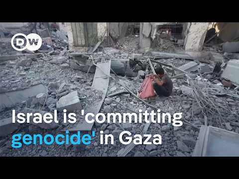 New resolution says Israel’s actions meet genocide definition | DW News