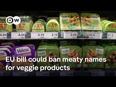 EU lawmakers want to ban meat names for plant-based foods | DW News