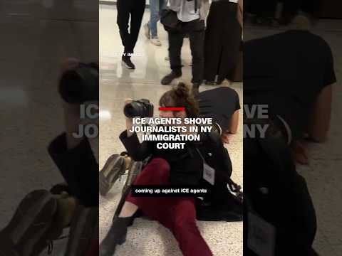 ICE agents shove journalists in NY immigration court