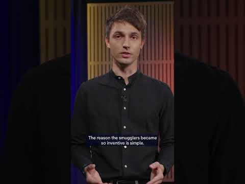 Smuggler balloons shut down Vilnius airport | DW News