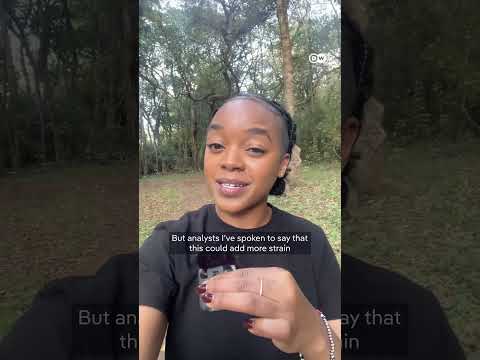 Is Kenya clearing forests to plant new ones? | DW News
