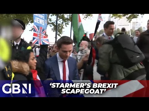 London Pro-Palestine protest turns violent | Alex Armstrong struck, woman arrested over sign