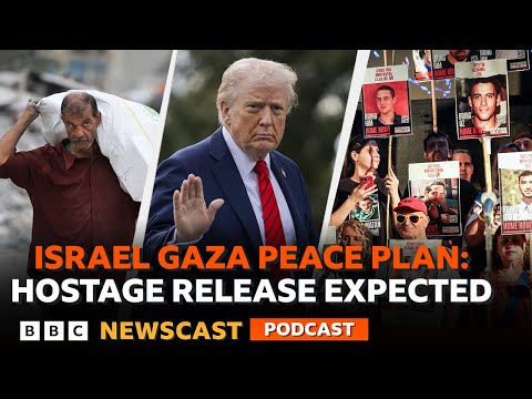 What does the next stage in the Israel-Gaza peace plan look like? | BBC Newscast