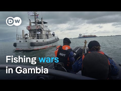 Conflict over fishing turns violent off Gambia’s coast | DW News