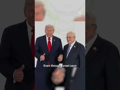 Who was at Egypt peace summit?