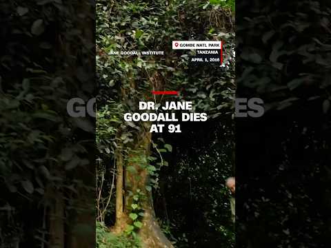 Dr. Jane Goodall dies at 91