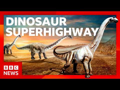 One of the world’s longest dinosaur trackways uncovered in UK | BBC News
