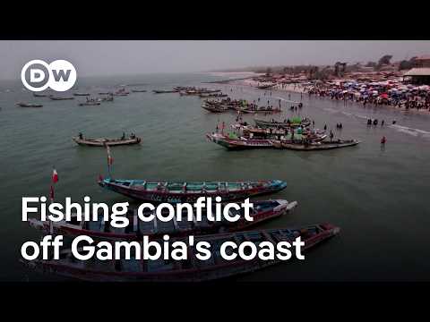 ‘Sea war’: Why is there a standoff between foreign trawlers and Gambian fisherfolk? | DW News