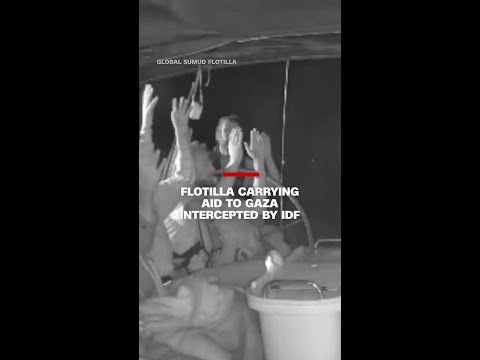 Flotilla carrying aid to Gaza intercepted by IDF
