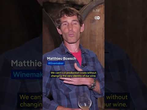 Can French winemaking survive US tariffs? | DW News