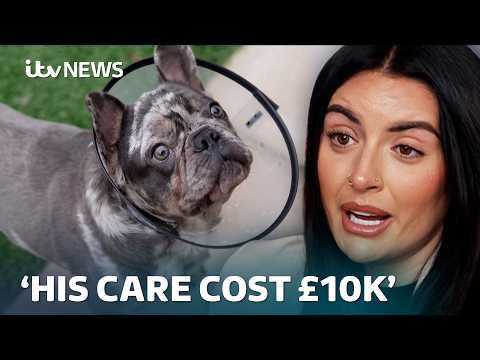 Changes proposed to vet prices as owners left saddled with debt | ITV News