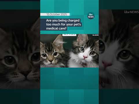 Are you being charged too much for your pet’s medical care
