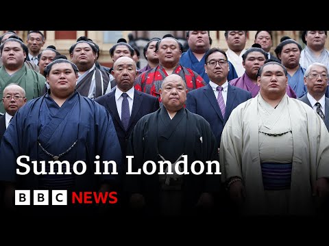 Why is a sumo tournament being held in London? | BBC News