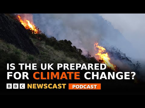 What could the UK government do to prepare for hotter temperatures? | BBC Newscast