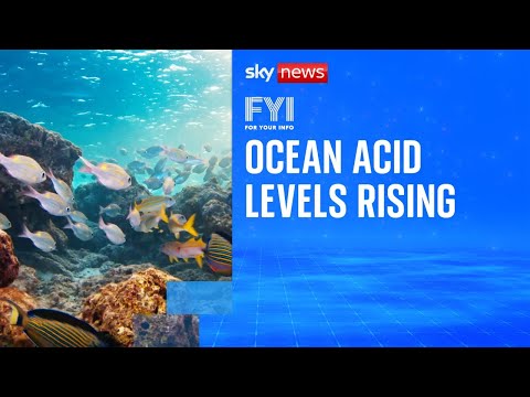 FYI: Ocean acid levels rising