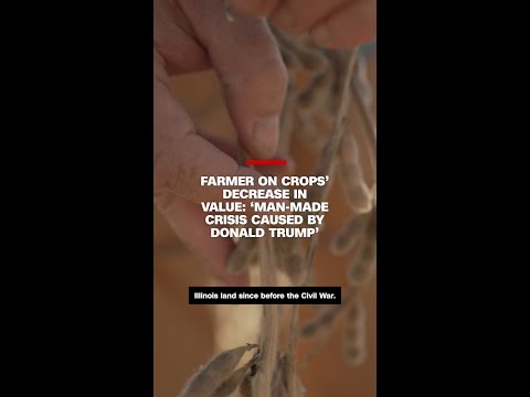 Farmer on crops’ decrease in value: ‘Man-made crisis caused by Donald Trump’