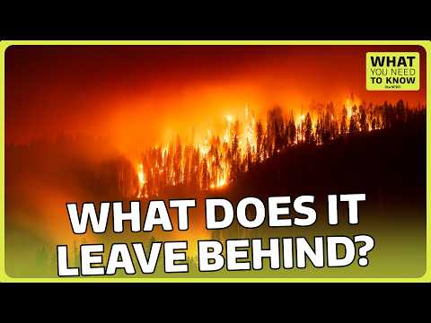 What’s behind the rise of extreme wildfires and the UK’s first ‘mega fire’ | ITV News