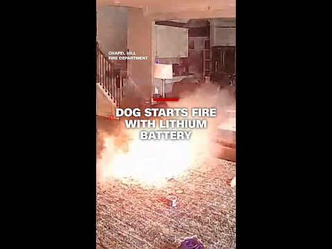 Dog starts fire with lithium battery