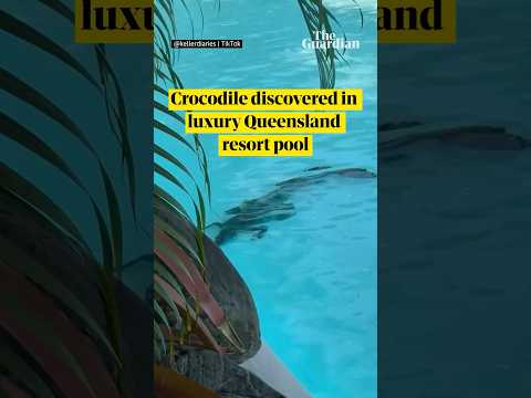 Crocodile discovered in luxury Australian resort pool