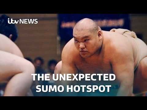 From Japan to London via Mongolia: The unexpected sumo outpost | ITV News