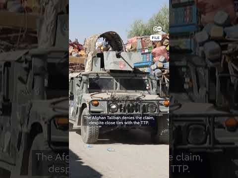 Taliban and Pakistan agree to ceasefire | DW News