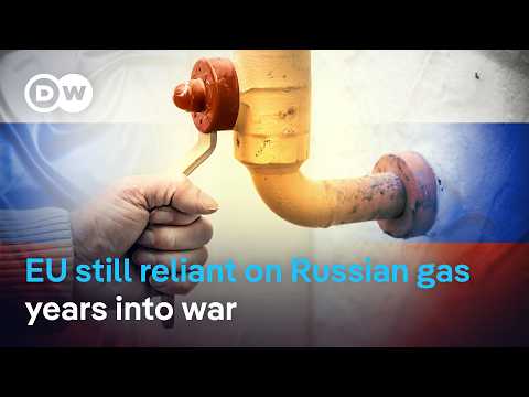 Where will the EU get its gas and LNG when it stops relying on Russian supplies? | DW News