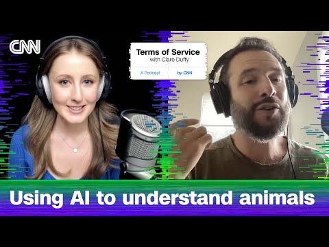 Can AI really help us understand our pets? | Terms of Service
