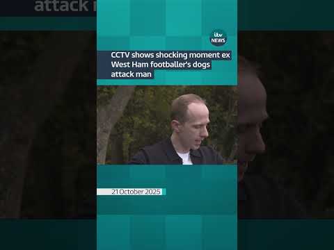 CCTV shows shocking moment ex West Ham footballer’s dogs attack man #itvnews