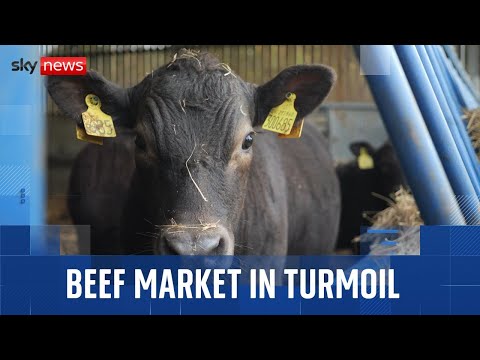 The beef market is in turmoil – and it’s affecting British farmers and consumers alike