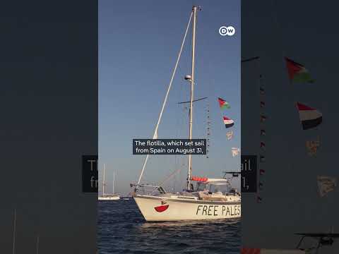 Israel’s interception of Gaza aid flotilla sparks protests worldwide |  DW News
