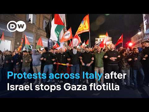 How much support do the activists have among the Italian public? | DW News