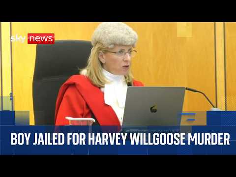 Teen sentenced for murdering Harvey Willgoose during school lunch break | Cameras in court