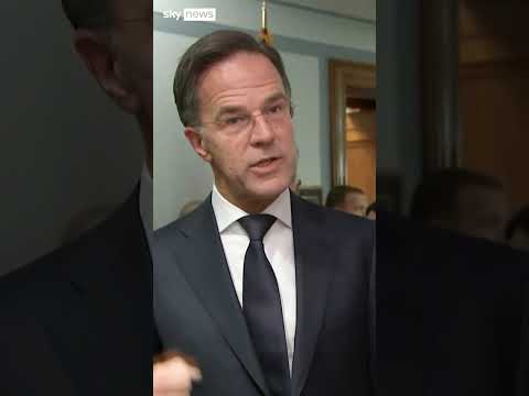 NATO chief: Trump-Zelenskyy meeting was not a disaster