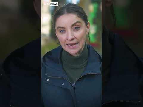 What happened to Harvey Willgoose?