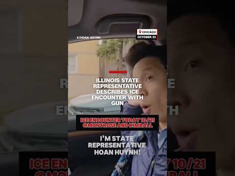 Illinois state representative describes ICE encounter with gun