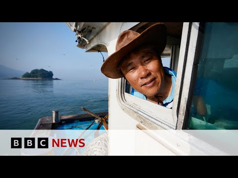 Is climate change to blame for rise in South Korea fishermen deaths? | BBC News