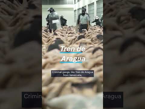 Is Trump’s “war” on drugs in the Caribbean legal? | DW News