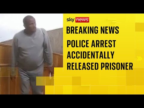 Migrant sex offender found and arrested after manhunt