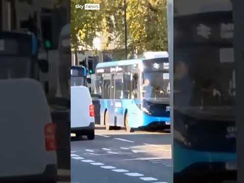 Exclusive: Watch moments after Hadush Kebatu is arrested