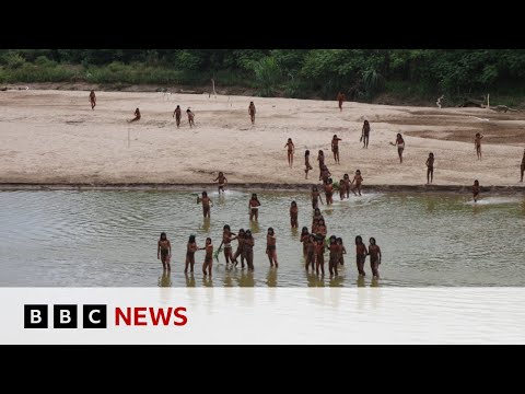 ‘Brothers in the forest’ – the fight to protect an isolated Amazon tribe | BBC News
