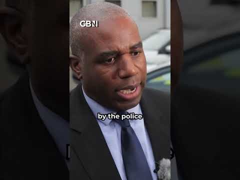 Epping migrant sex attack WON’T BE DEPORTED on next flight, David Lammy admits