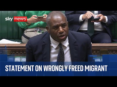 David Lammy faces Commons grilling over wrongly released migrant sex offender