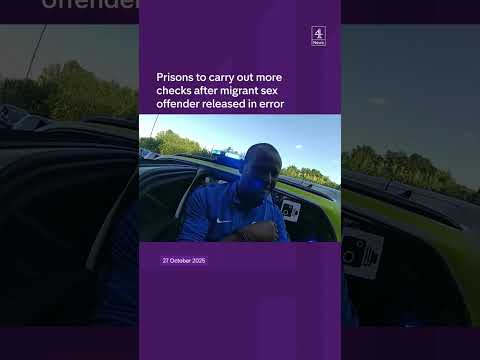 Prisons to carry out more checks after migrant sex offender released in error