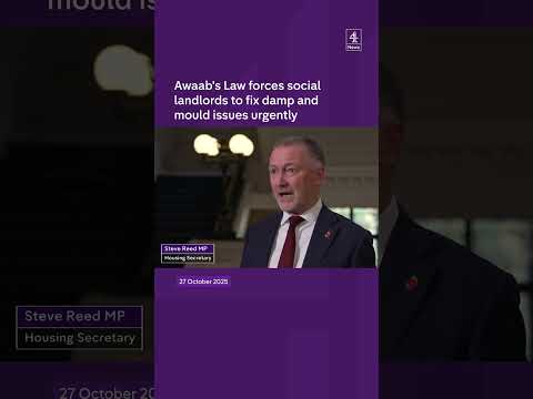 Awaab’s Law forces social landlords to fix damp and mould issues urgently