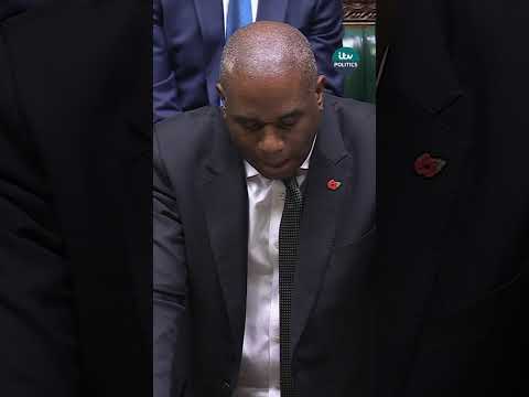 Deputy PM Lammy ‘livid’ over release of Epping sex offender