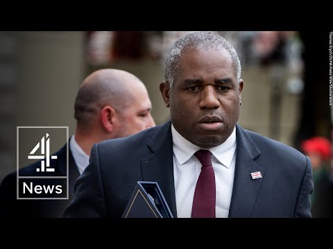 ‘Human error’ led to migrant sex offender’s release, says Lammy