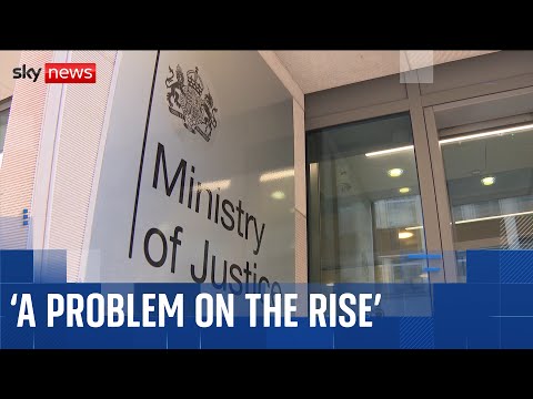 The ‘problem on the rise’ as 262 prisoners released in error